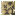 WWW